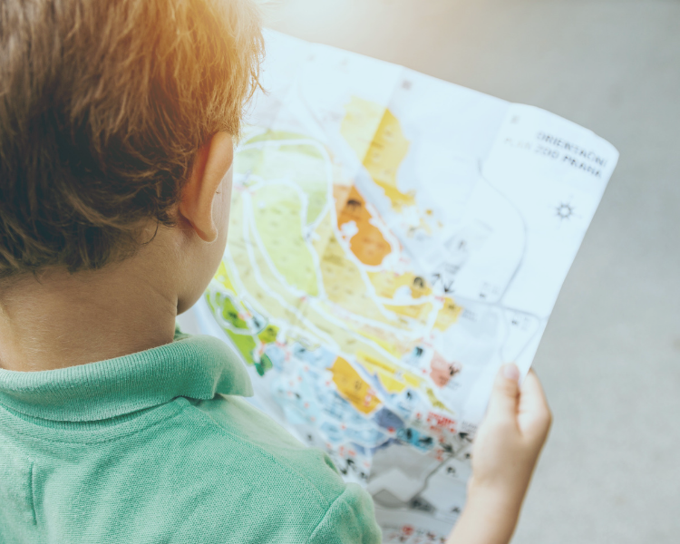 Young boy reading an attraction map