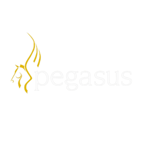 Monpellier North UK Business solutions pegasus logo